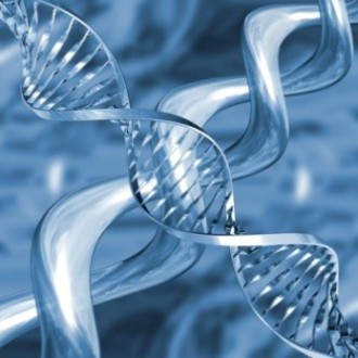 Новые гены против рака простаты
